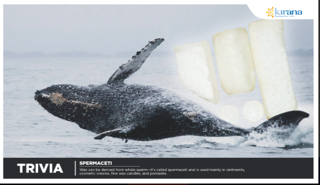 Spermaceti Wax